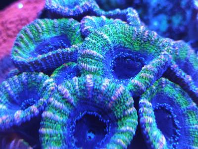 IMG_20241205_212546.jpg