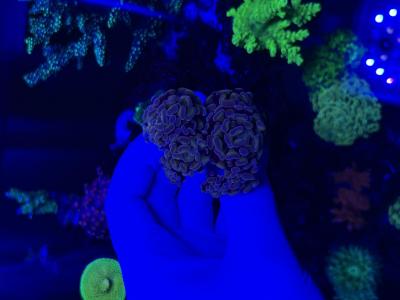 IMG_3830.jpeg