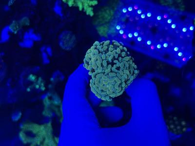IMG_3803.jpeg