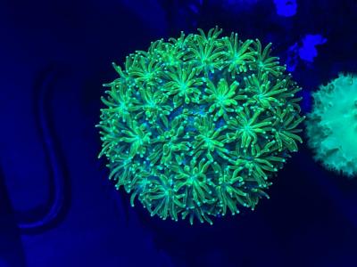 IMG_3798.jpeg