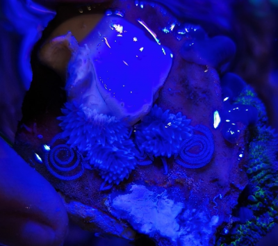 Снимок экрана 2026-02-19 220252.png