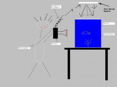 flash-photo-macro.jpg