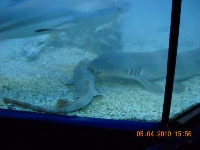 DSCN2353.JPG