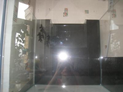IMG_8785.JPG