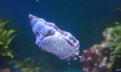 2012-10-14 11.37.51.jpg