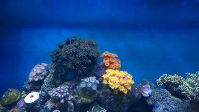 WP_20150408_21_09_13_Pro.jpg