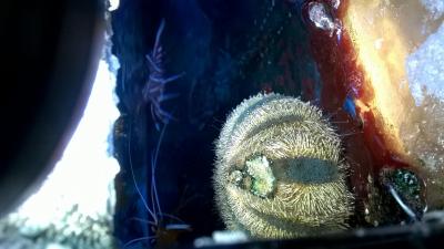 WP_20150429_20_09_15_Pro.jpg