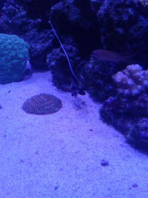 20150415_203538.jpg