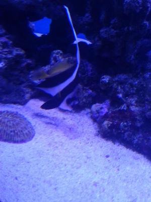 20150415_203530.jpg