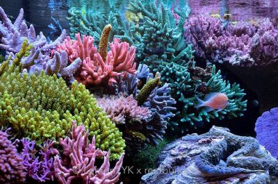 fts-3.jpg