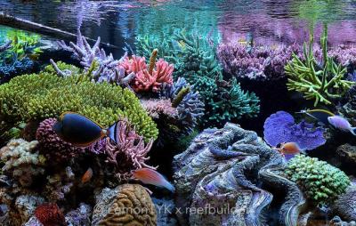 fts-4.jpg