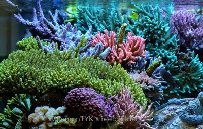 fts-7.jpg