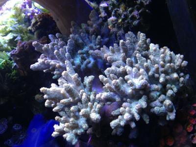 IMG_4872.JPG