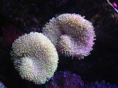 IMG_5058.JPG
