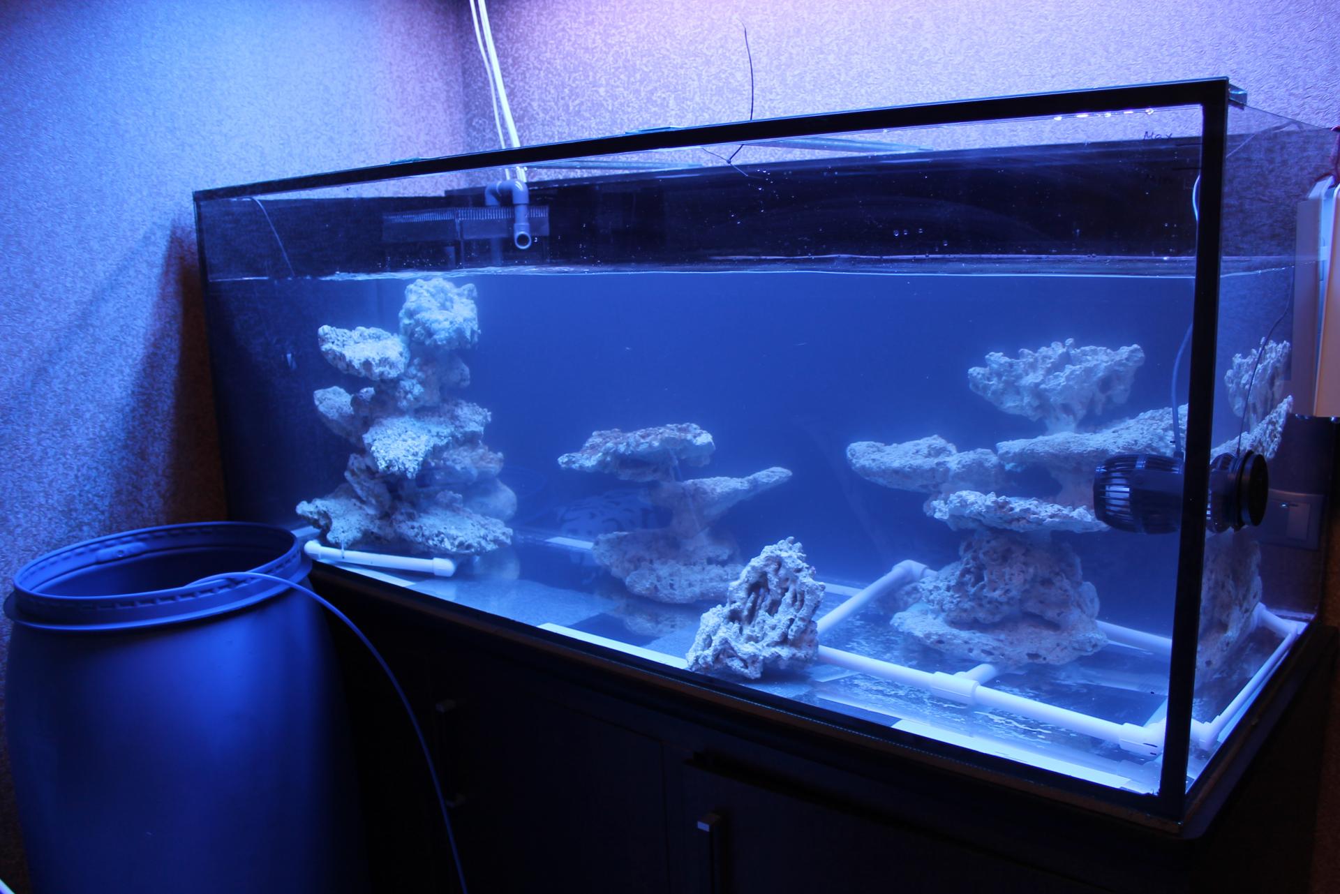 Морской аквариум СРК
