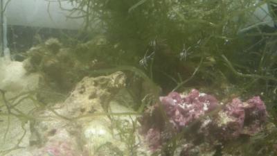 20160423_201215.jpg