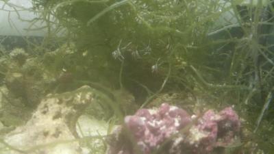 20160423_201210.jpg