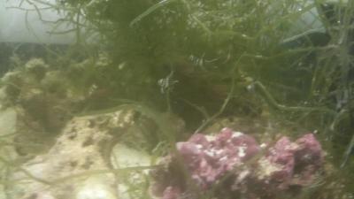 20160423_201201.jpg