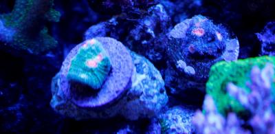 _MG_7614.JPG
