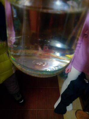 IMG_14545576961.jpg