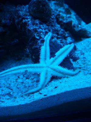 IMG_20160423_2213031.jpg