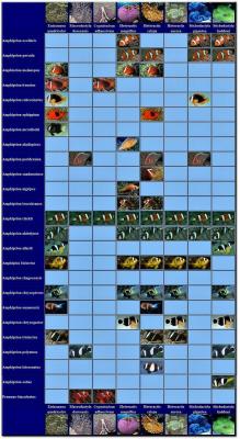 msg-59-0-43501000-1459070210 (3).jpg