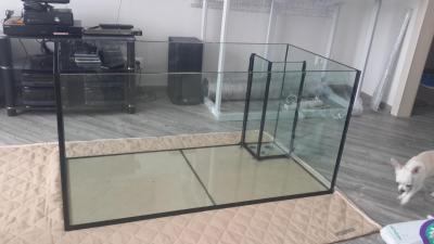 20160423_144157.jpg