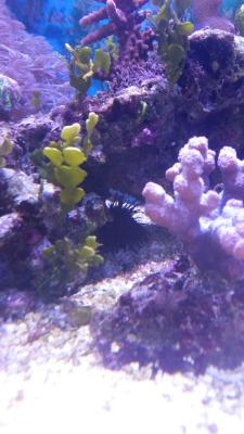 20170415_141737.jpg