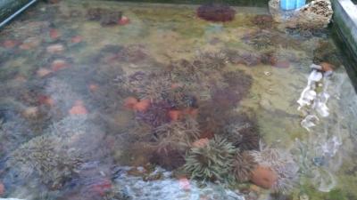 IMG_20170427_171404.jpg