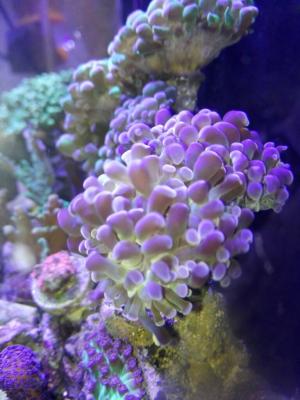 IMG_20170403_204617.jpg
