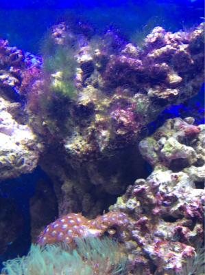 Image1491143447.366166.jpg