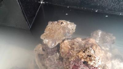 20180414_175844.jpg