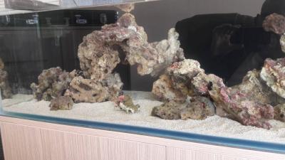 20180415_105139.jpg