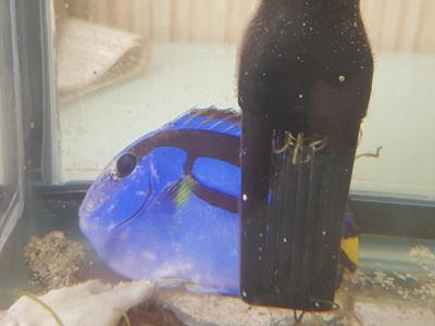 2018-04-22 14-02-19.JPG