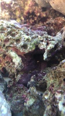 IMG_2419.jpg