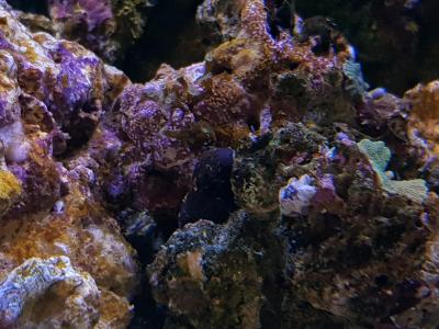 20180417_212956.jpg