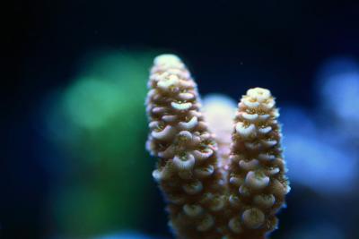 _MG_8336.JPG