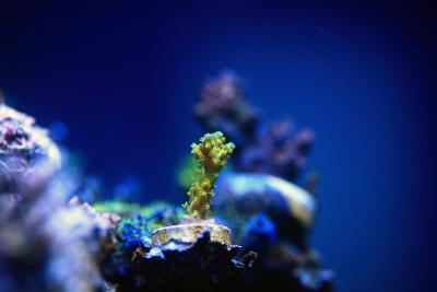 _MG_8330.JPG
