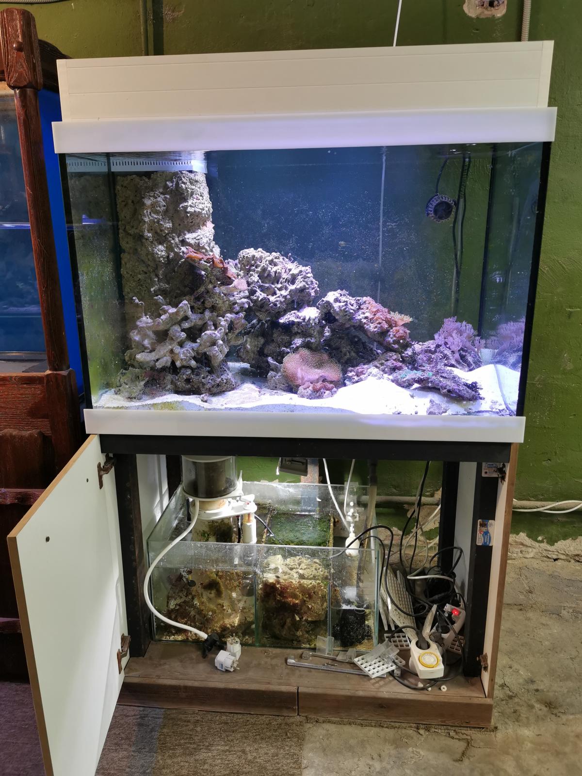 аквариумная барахолка. аквариум 140 л. аквариум с чихирос wrgb. аквариумная барахолка. аквариум тверь барахолка.