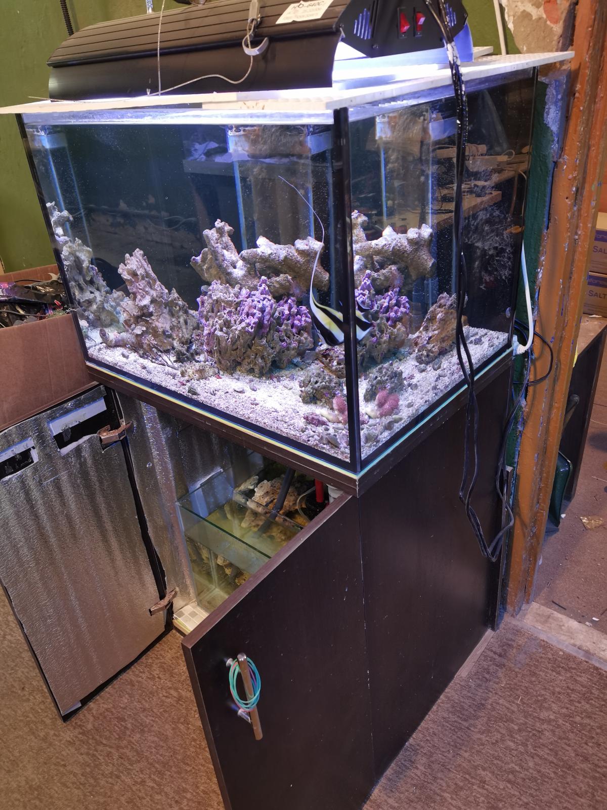 аквариум из оргстекла купить. аквариумная барахолка. аквариум 65л. купить аквариум из оргстекла б/у москва и московская область. тумба juwel rio 300 инструкция по сборке размер.