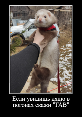 dem_5e85e0127558f.png