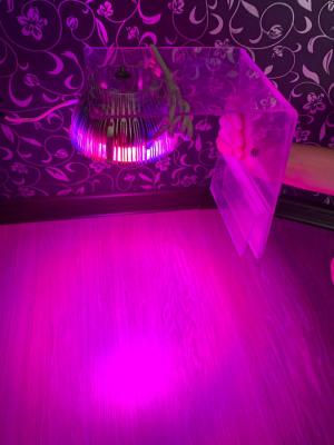 2022-04-30 19.23.58.jpg