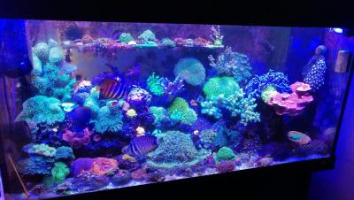 IMG_20230222_124511.jpg