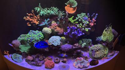 IMG_8707.jpeg