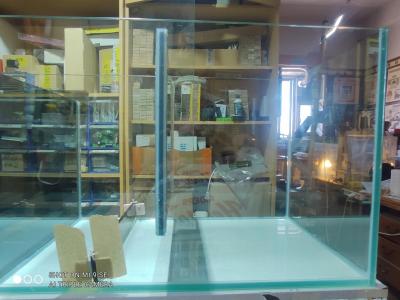 IMG_20230405_122604.jpg