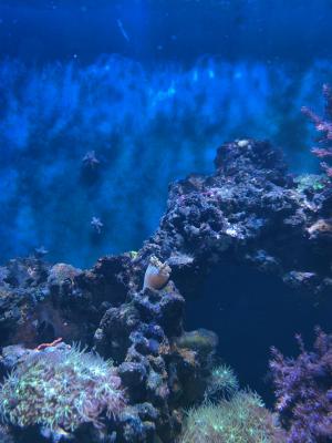 IMG_20230403_153907.jpg
