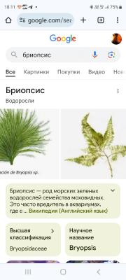 Screenshot_20240422_181147_Chrome.jpg