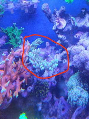 photo_2025-04-24_18-31-59 (2).jpg