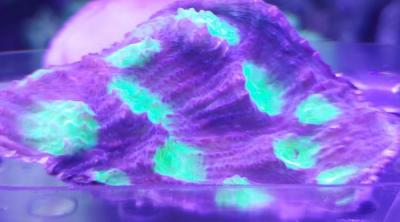20250329_134637-2.jpg