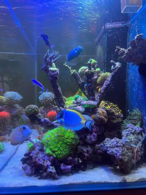 camphoto_758783491 copy.jpg